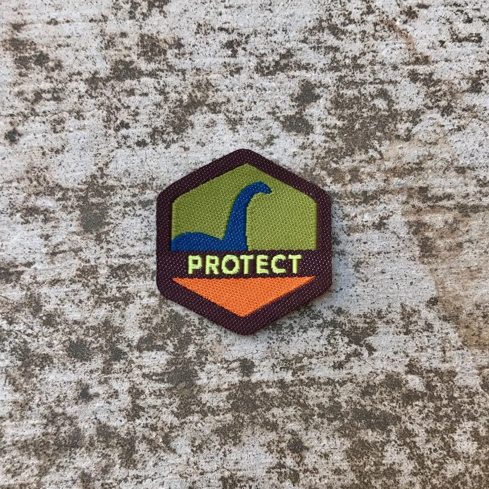 Protect Spirit Badge